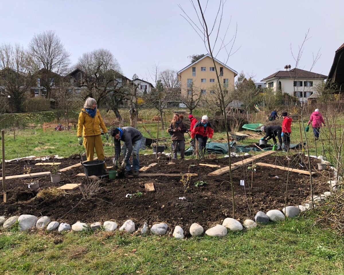 Whats App Image 2026 03 29 at 19 20 59